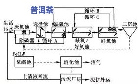 化纤设备工艺流程