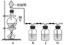 二氧化硫检测设备